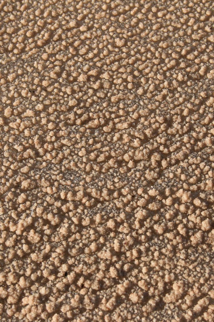 rock sand texture