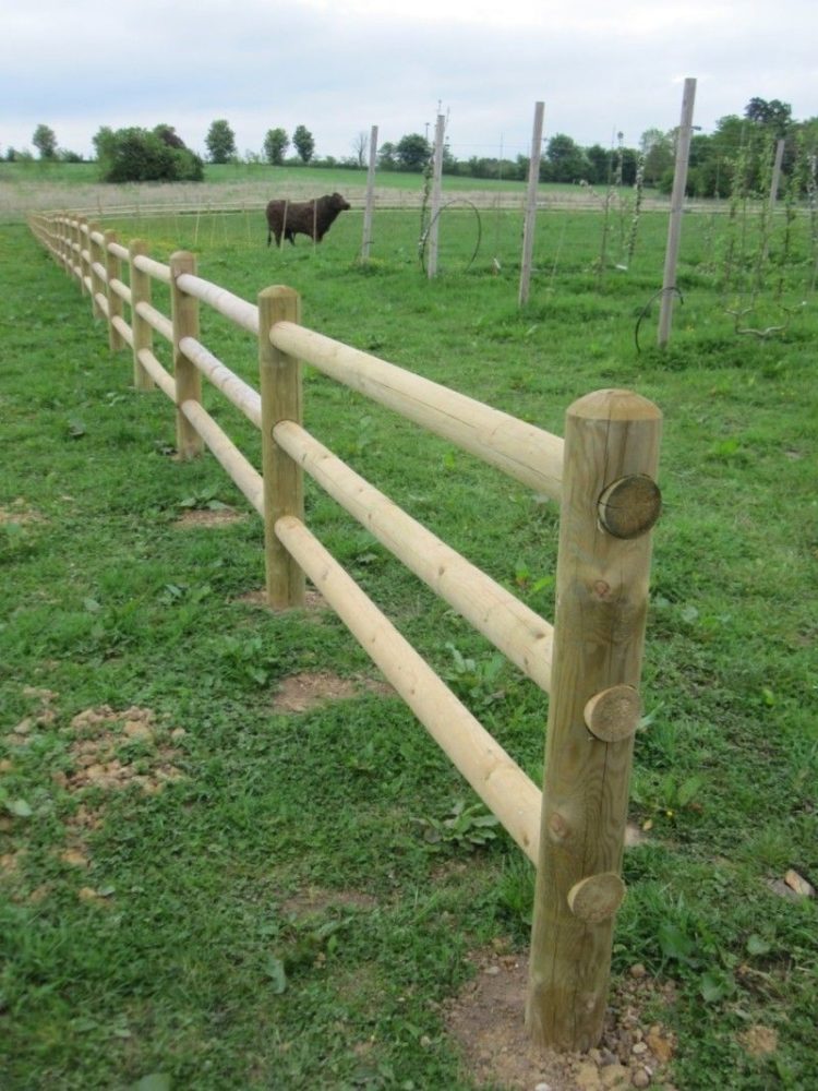 split rail fence boise