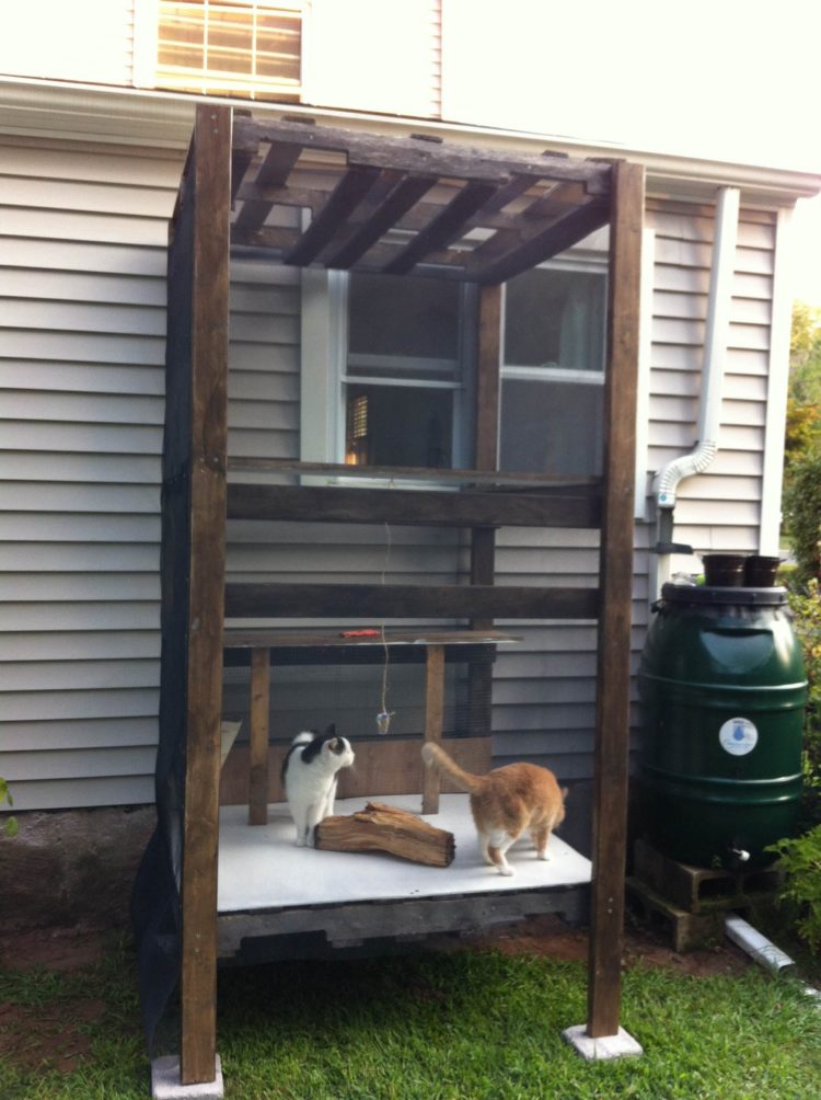 build your own outdoor cat house
