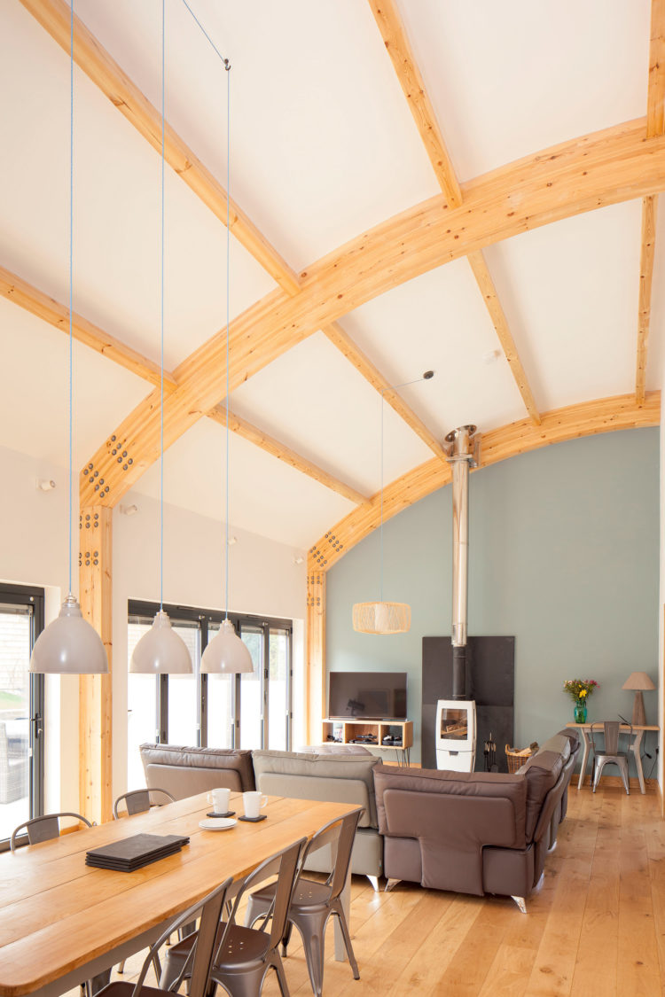 50+ Vaulted Ceiling Ideas to Make Spaciousness in Style