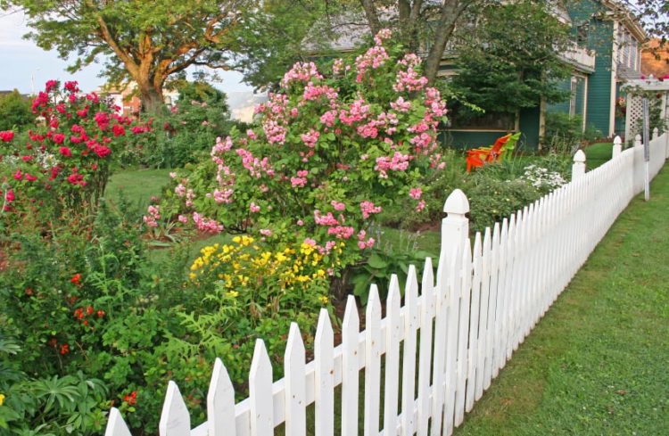 wood fence ideas for front yard