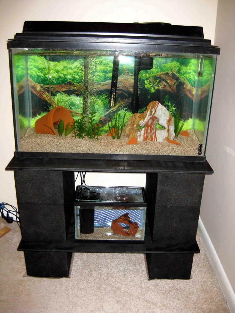 easy aquarium stand