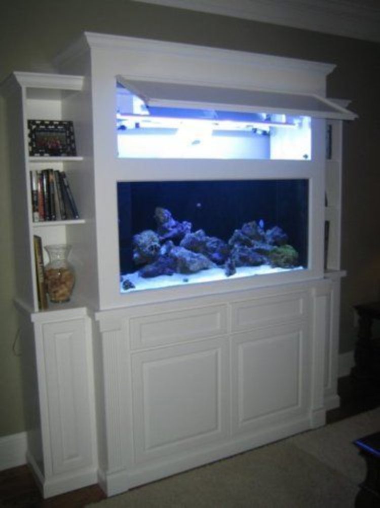 elos aquarium stand