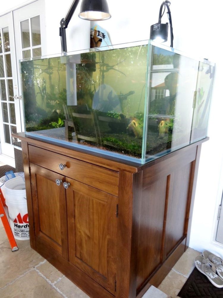 aquarium stand for 5 gallon tank