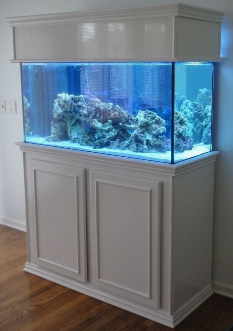 aquarium stand gap