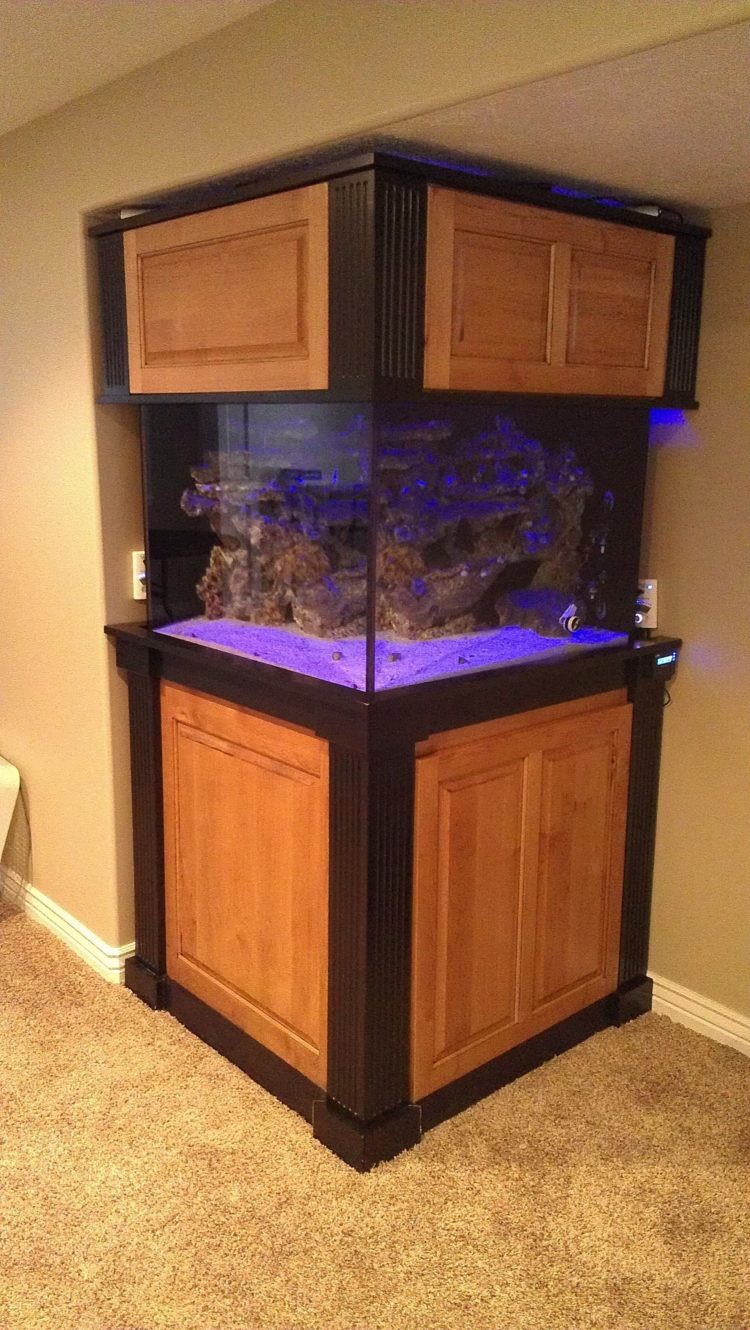 aquarium stand gallon