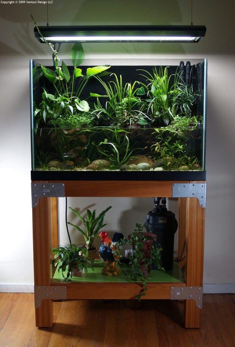 aquarium stand homemade