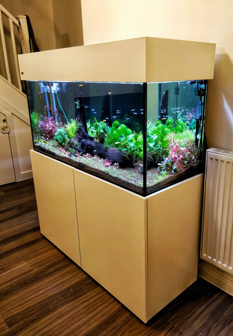 aquarium stand in store