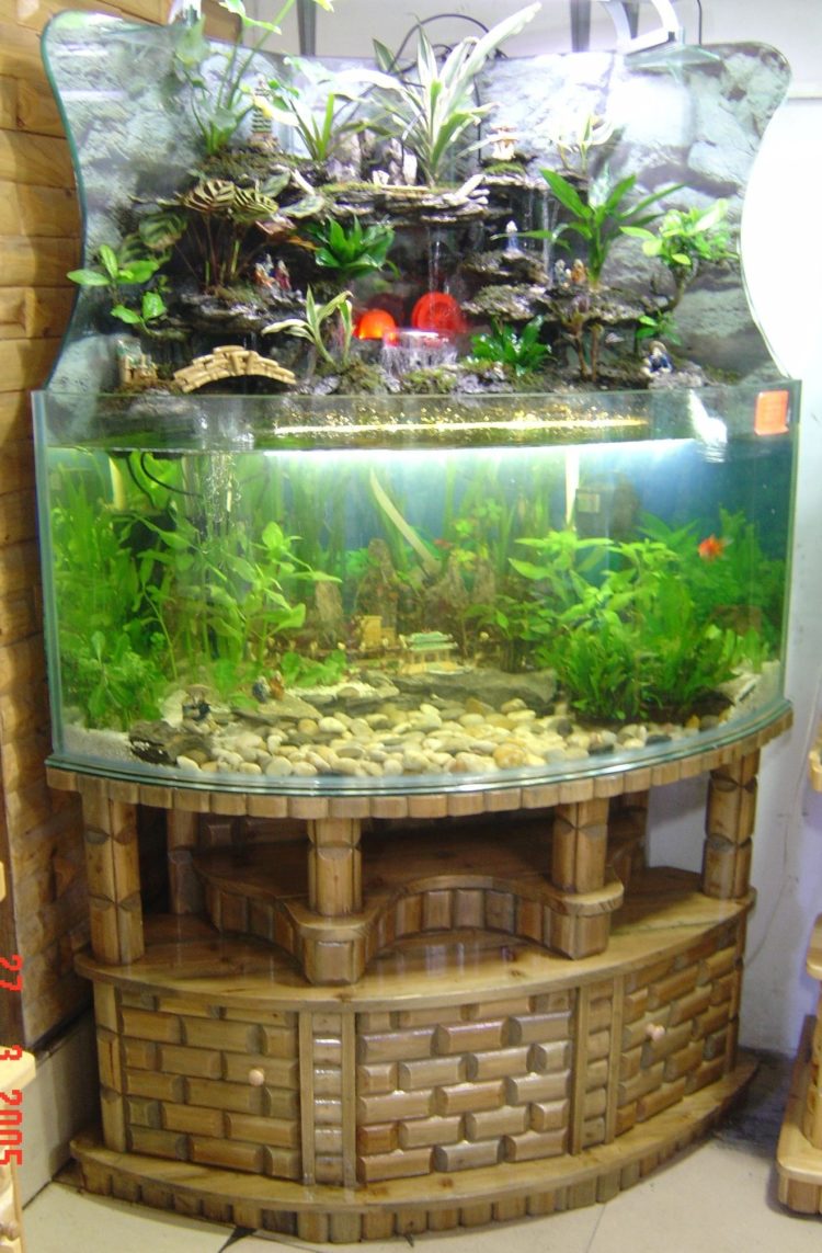 aquarium stand india