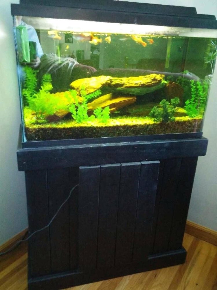jebo aquarium stand