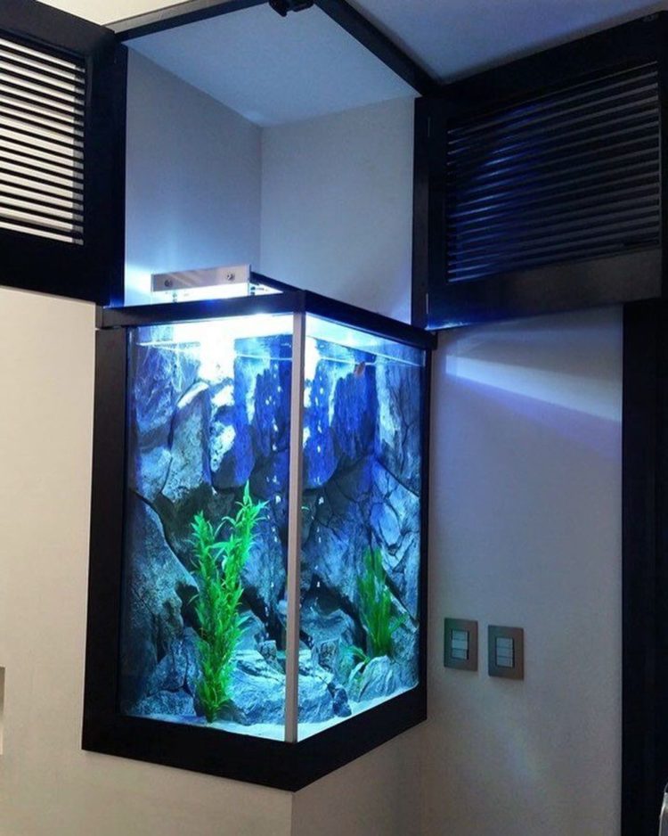 metal aquarium stand kijiji