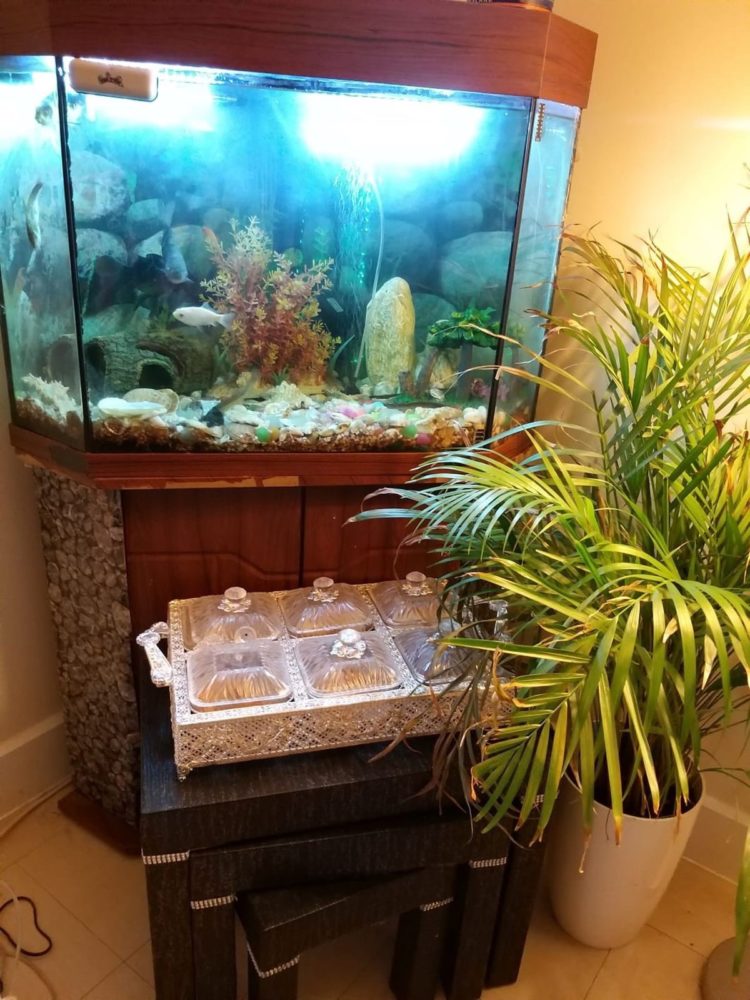 aquarium stand made from pallets