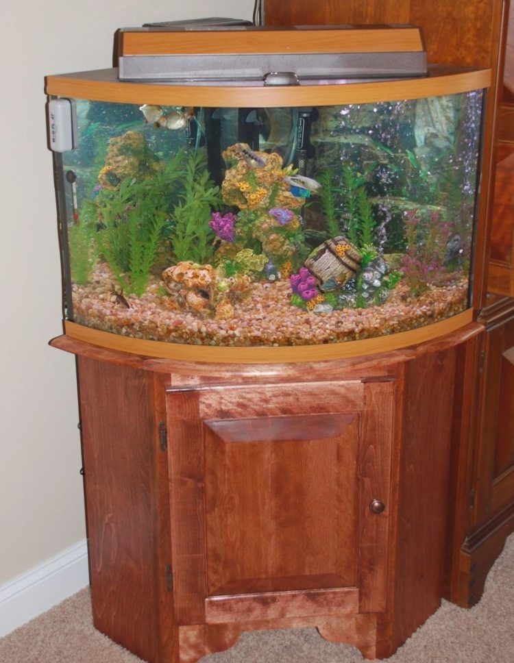 aquarium stand modern