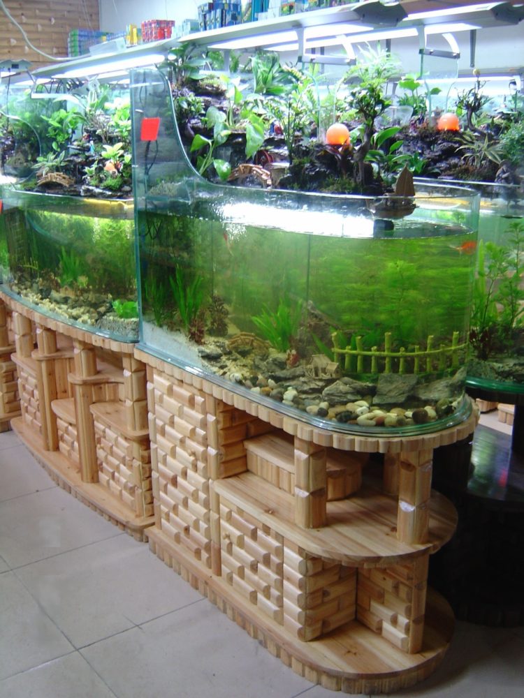 aquarium stand oak