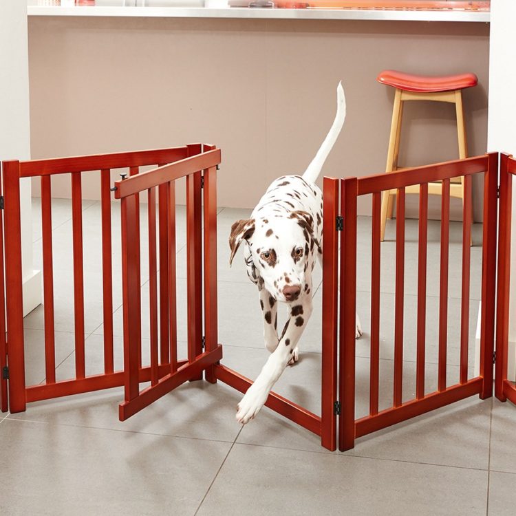 dog gates mesh