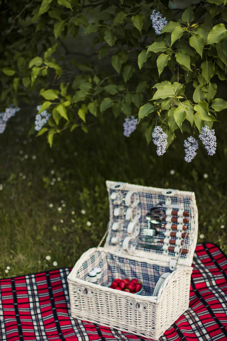 picnic blanket strap