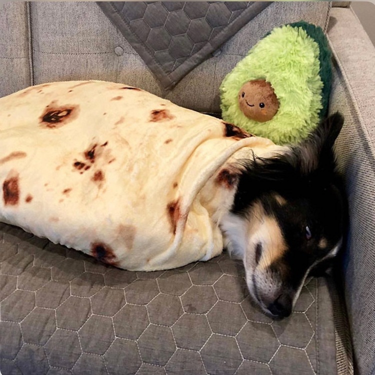 banana burrito wearable blanket