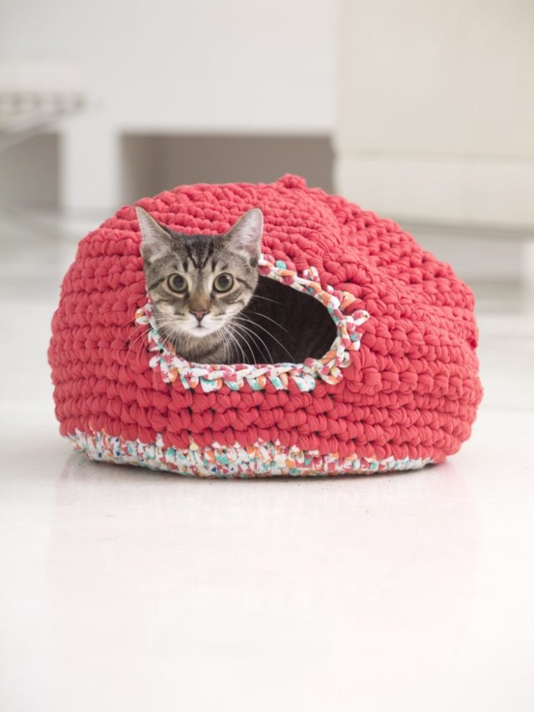 a cat bed house