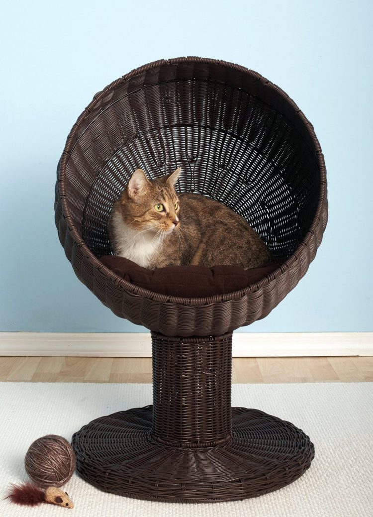 cat bed and scratcher