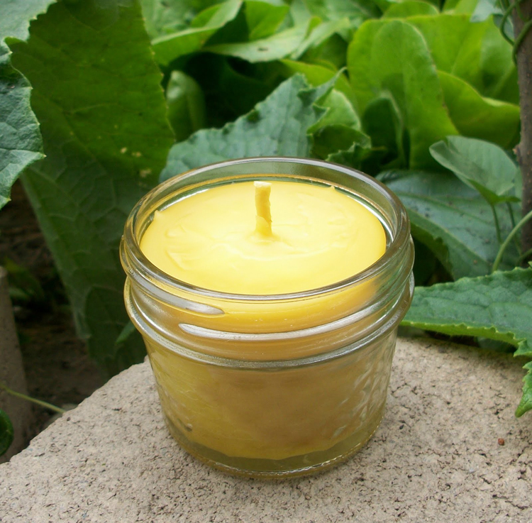 citronella candles pick n pay