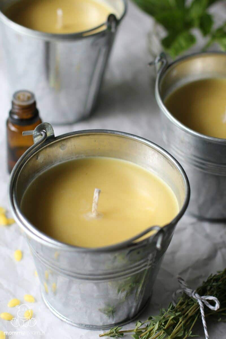 citronella candles no see ums