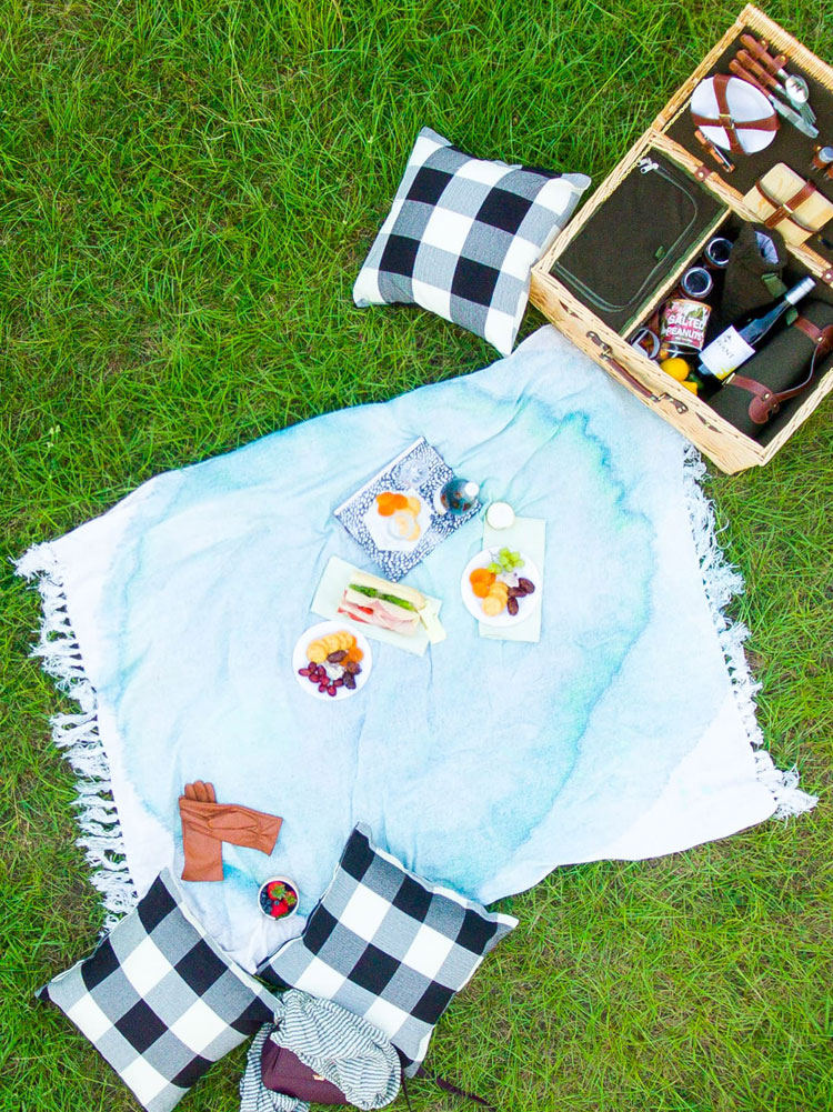 toys r us picnic blanket