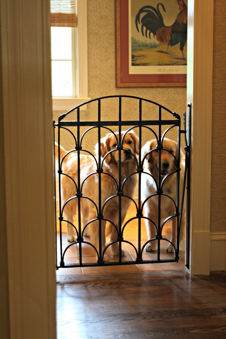 dog gates in store