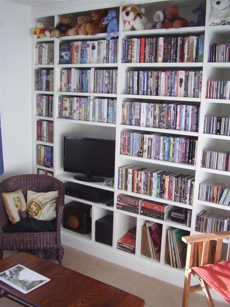 dvd storage ideas without cases