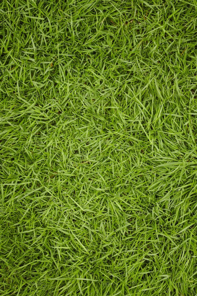 fs17 grass texture
