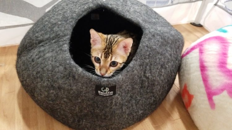 cat bed knitting pattern