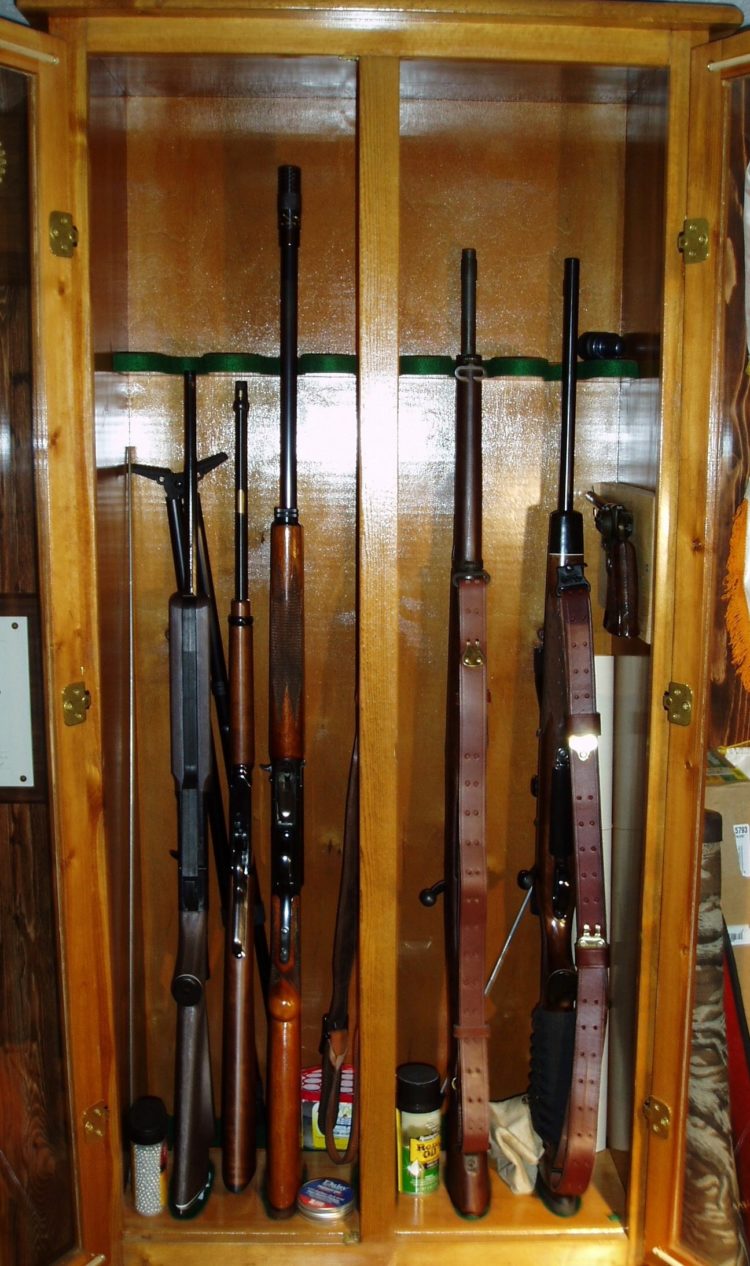 gun cabinet ni