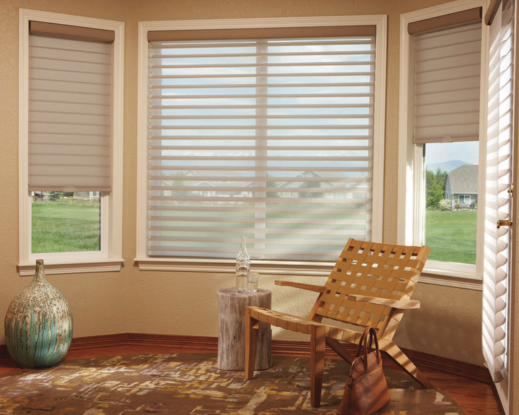 mini blinds on french doors