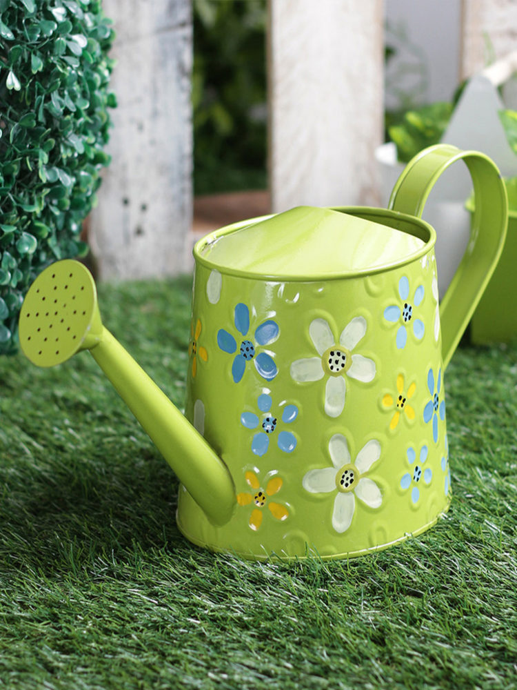 watering can flower pot
