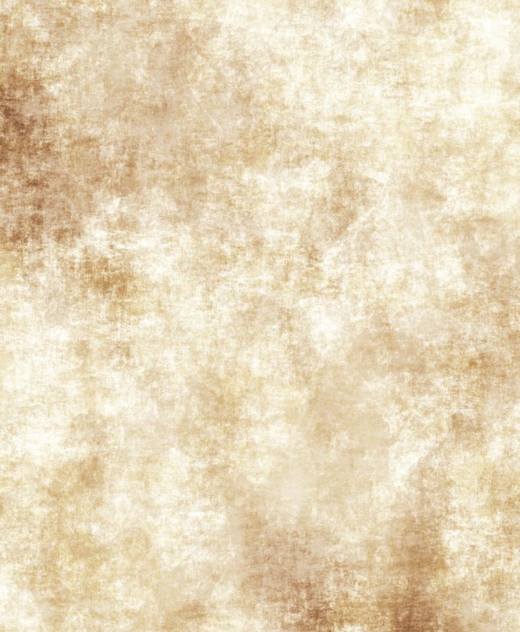 vector old vintage paper texture