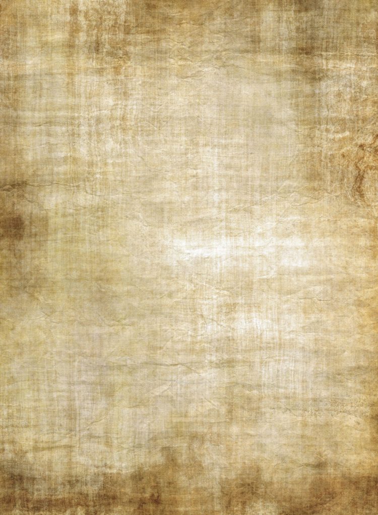 old paper texture scroll vector 2