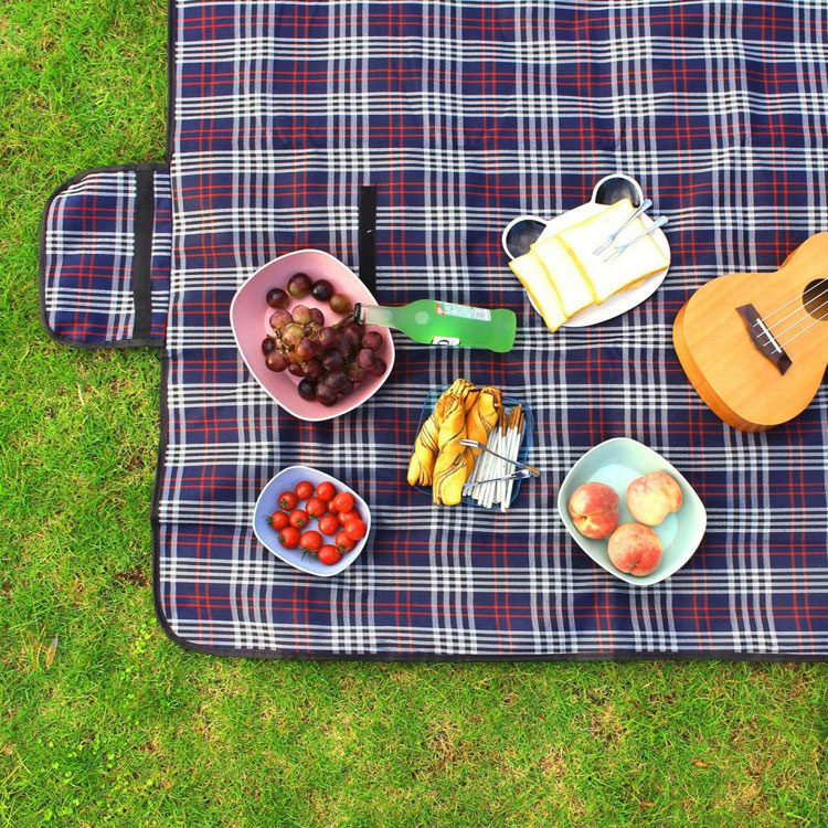 picnic blanket national trust
