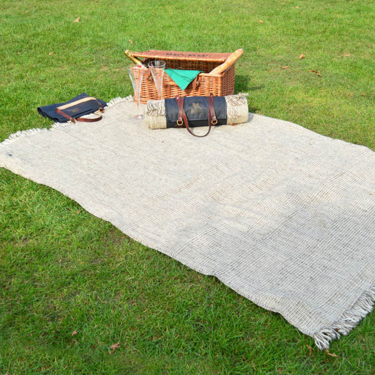 picnic blanket logo