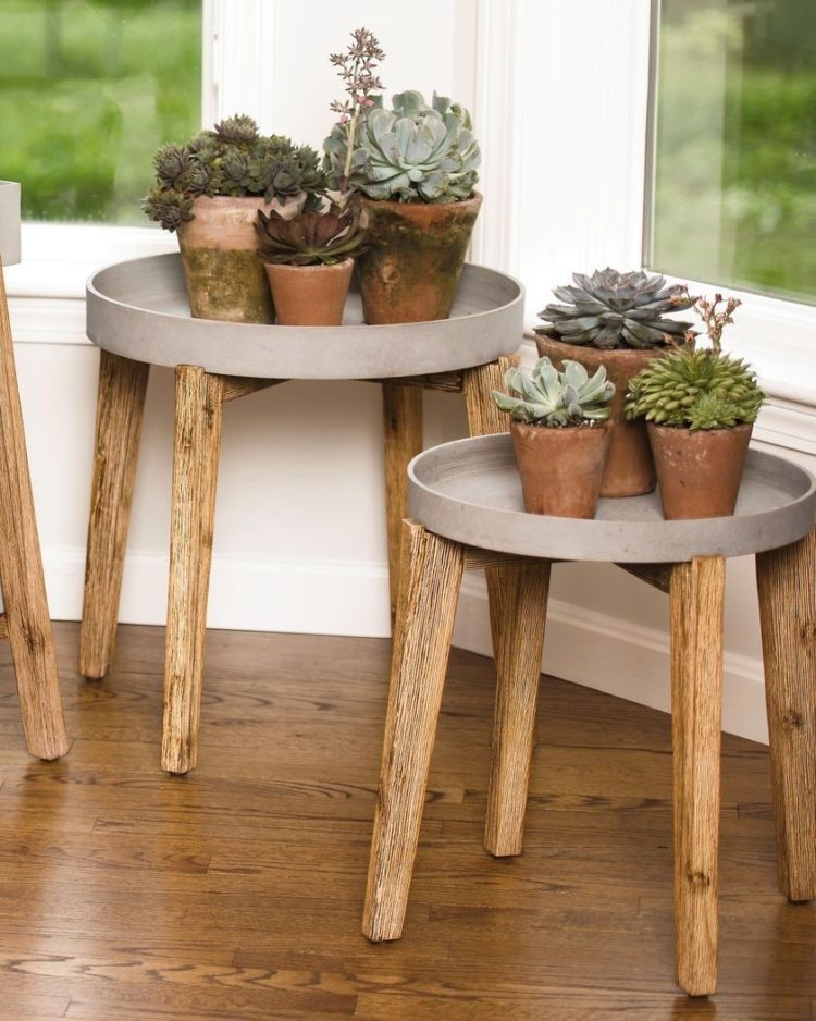 plant stand glass
