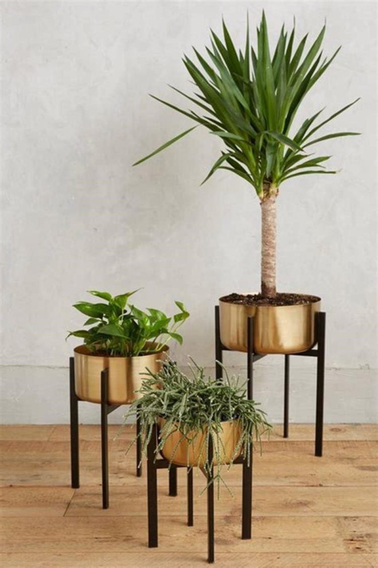 plant stand made out of pallets