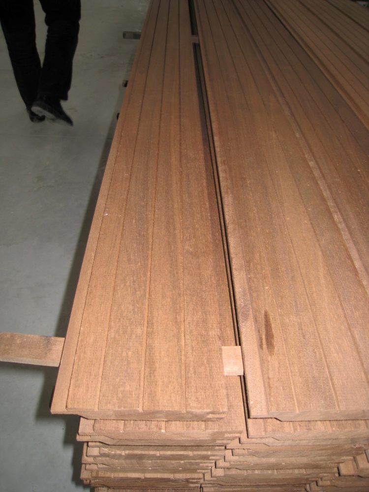 poplar wood in india