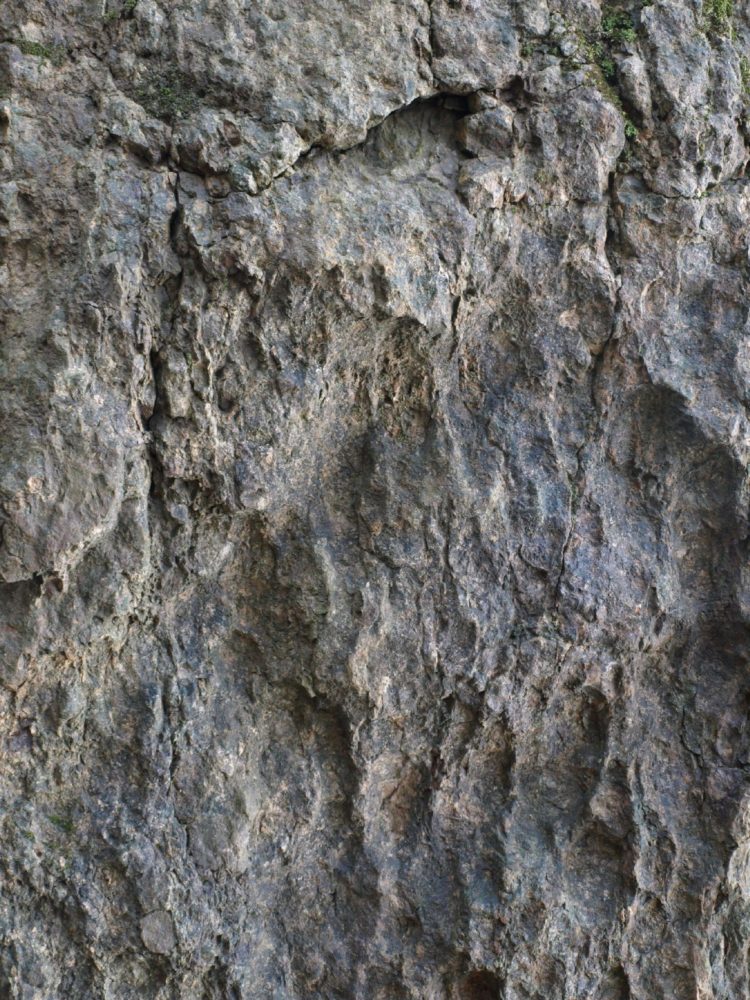 rock texture sedimentary