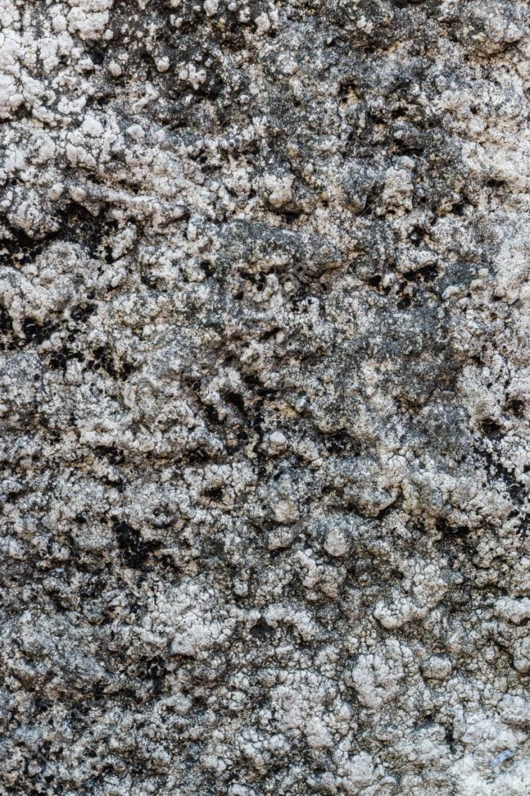 stone texture with bump