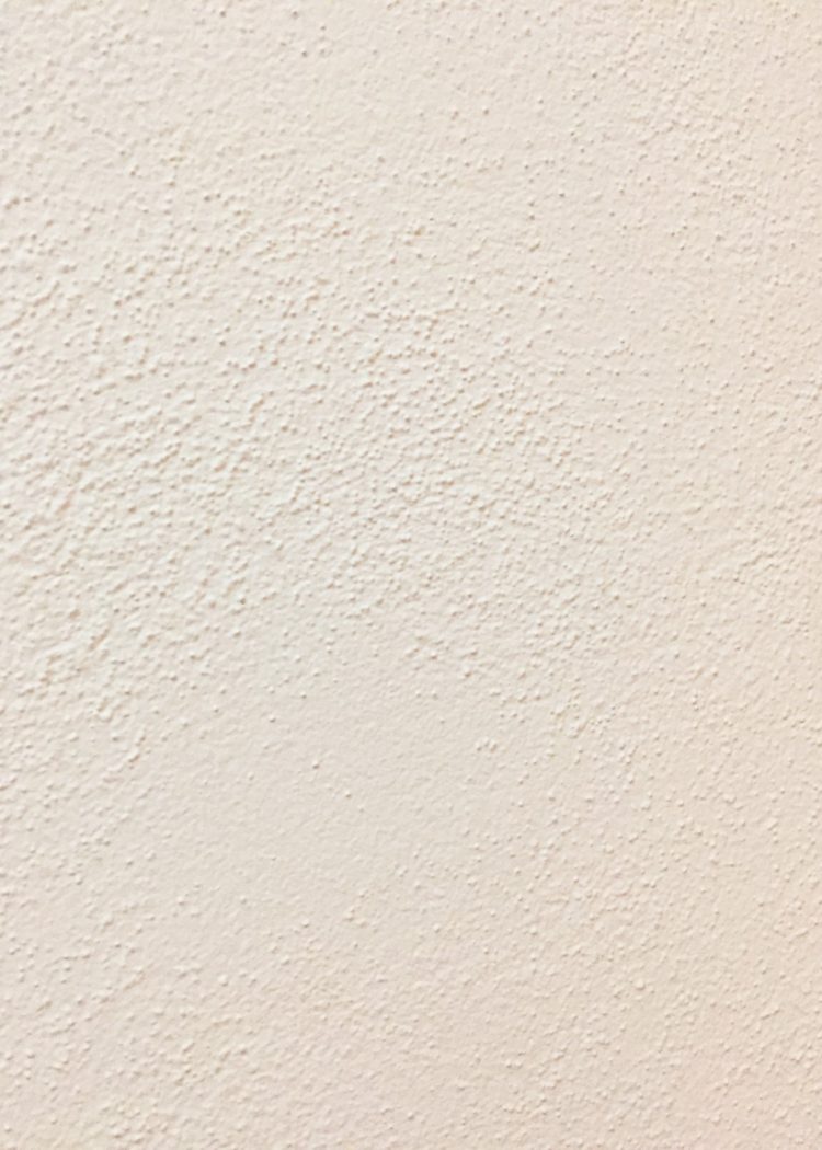 wall texture natural