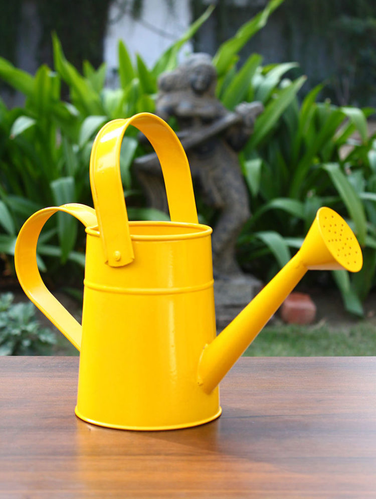 watering can gold