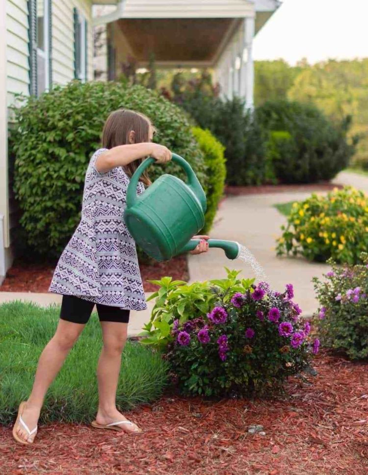 watering can harbor freight